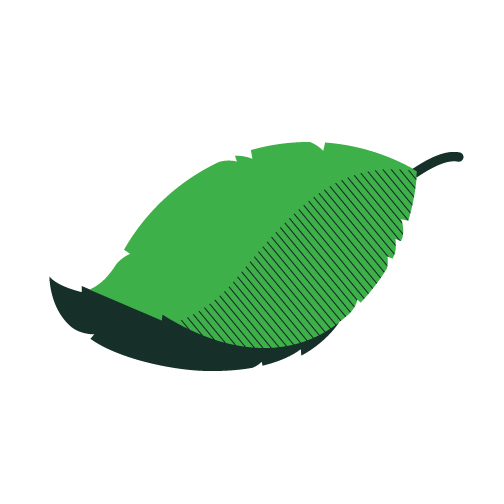 TD Green leaf