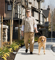 Man walking with a guide dog.