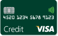 Visa credit card image