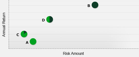 What makes a portfolio low risk or high risk?